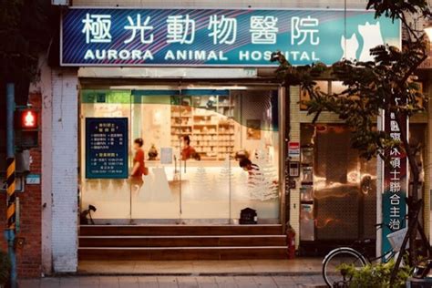 坤龍狗|名人維東尼動物醫院